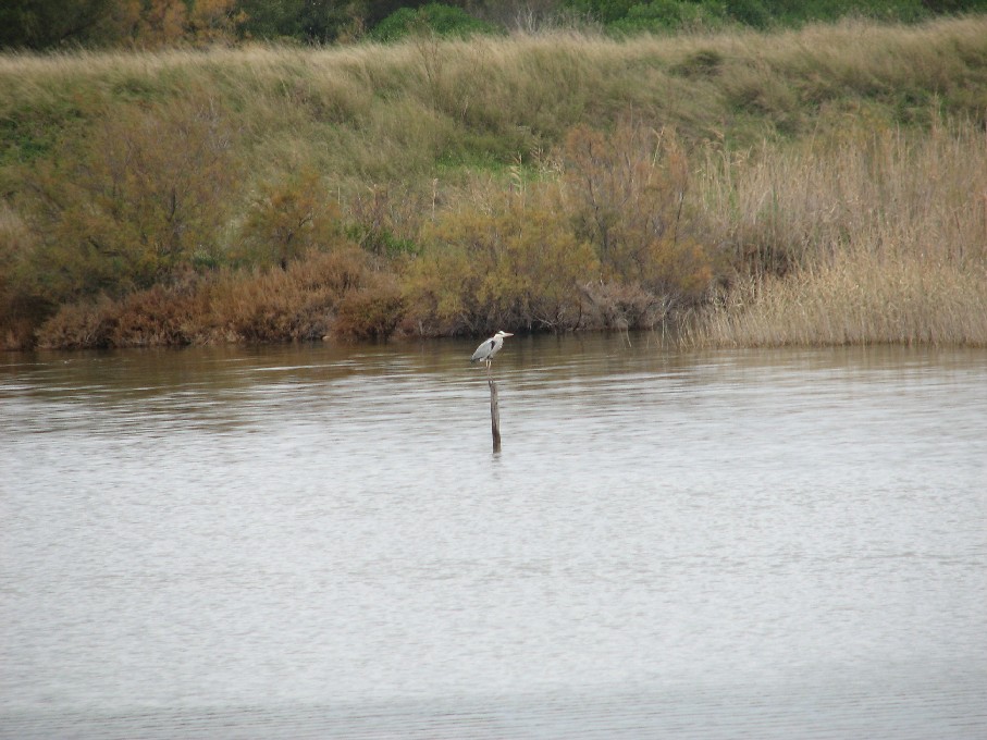 Saline di Priolo (Siracusa)